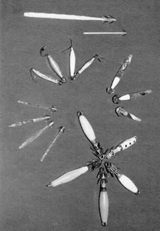 squid lures