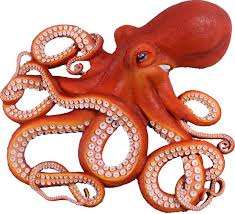Octopus